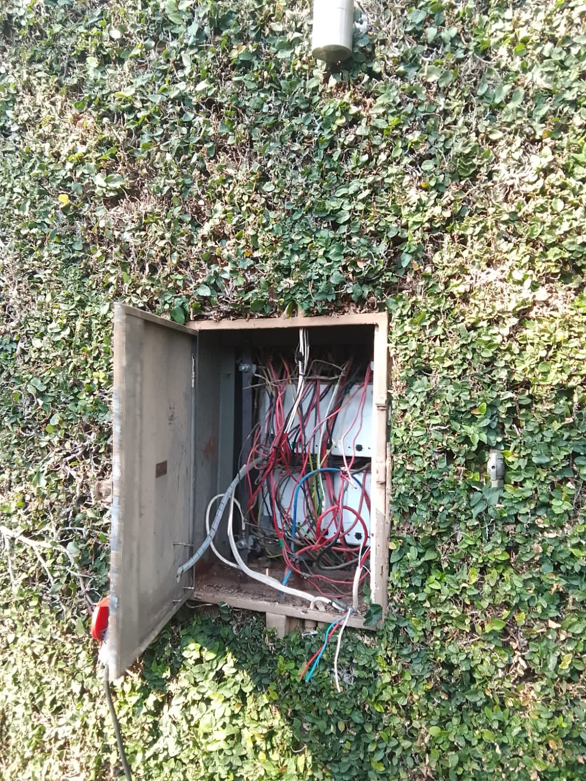 Old outdoor junction box opened for fault finding and rewiring by Happ's Electrical